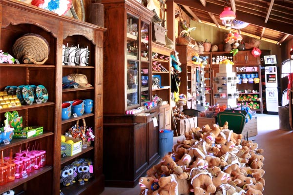 Fort Apache Souvenirs